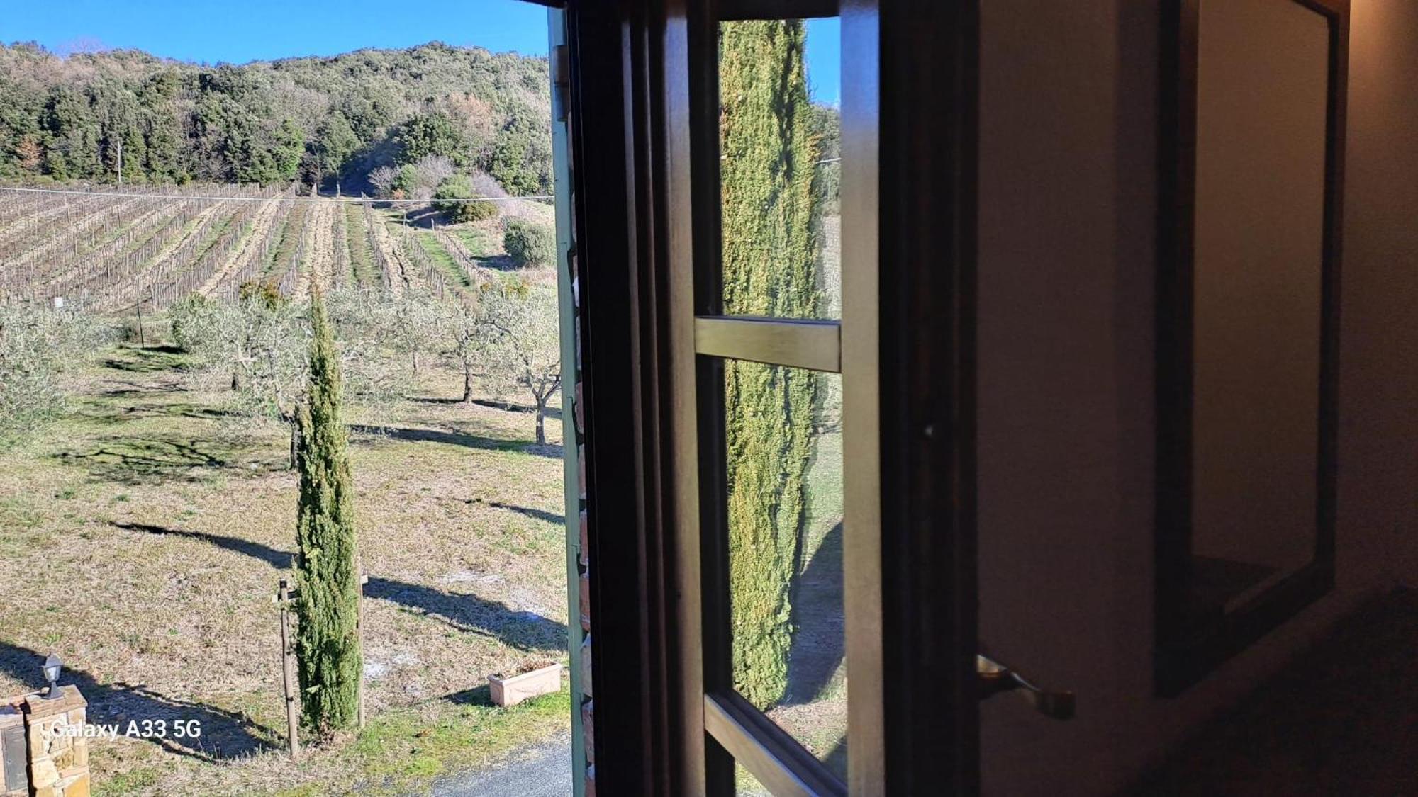 Podere Oliveta Montecatini Val di Cecina Zewnętrze zdjęcie