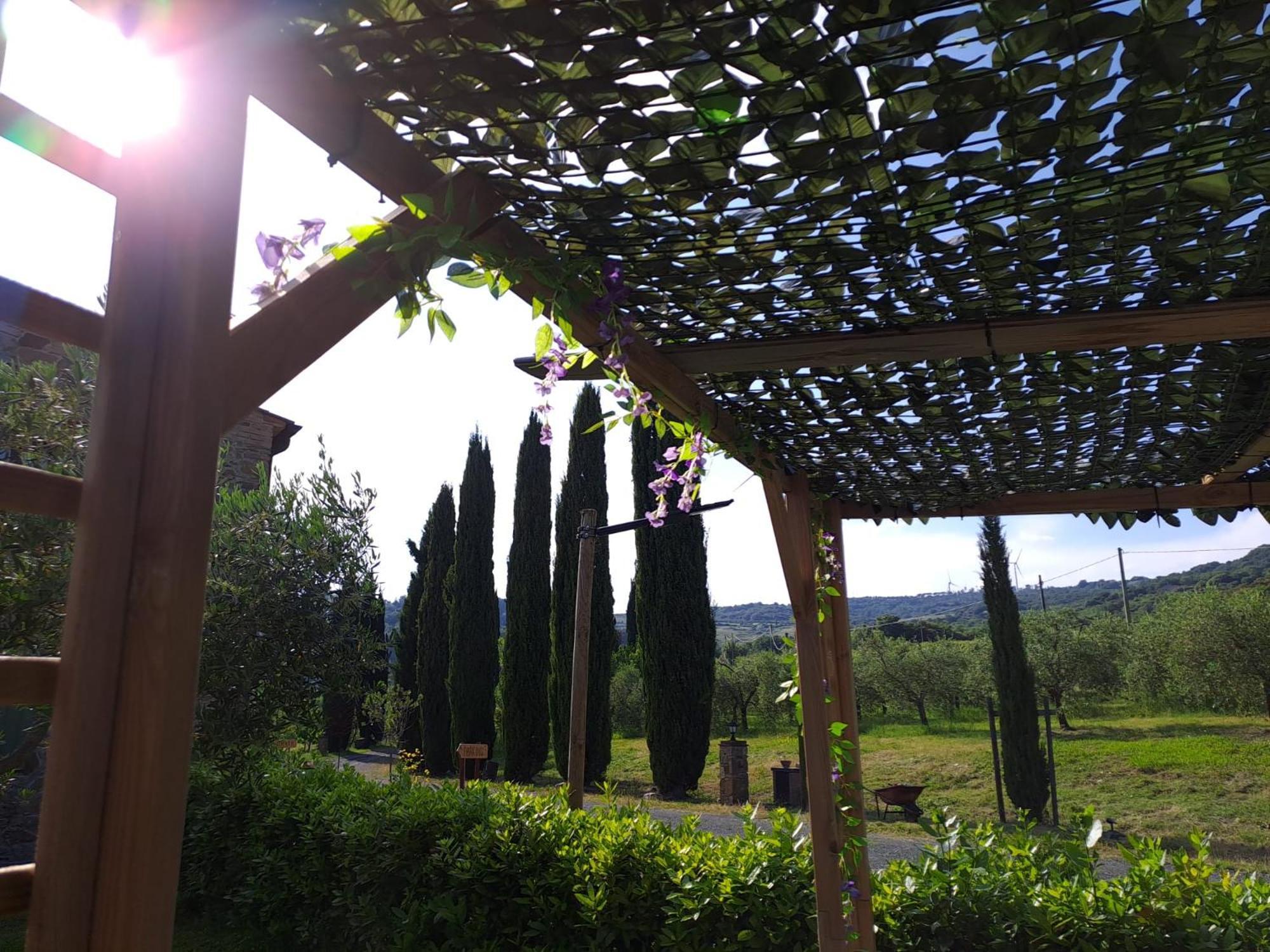 Podere Oliveta Montecatini Val di Cecina Zewnętrze zdjęcie